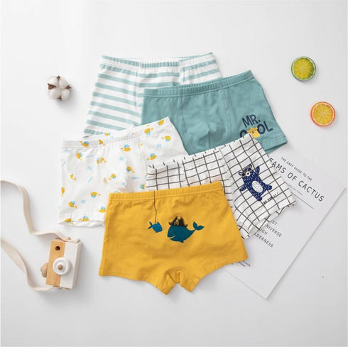 Boys' Cotton Loose Breathable Underwear (five Pack)